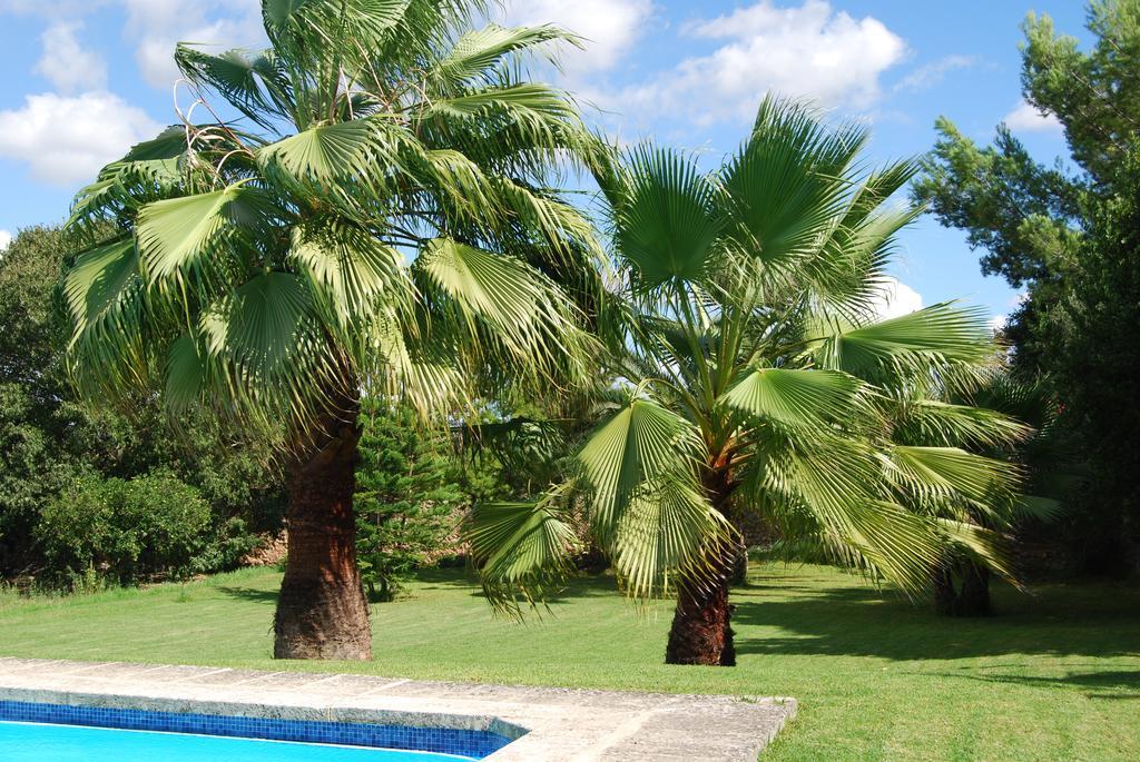 Finca Son Vivot ภายนอก รูปภาพ